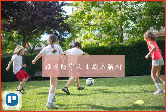 猛龙防守反击战术解析