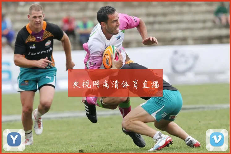 央视网高清体育直播