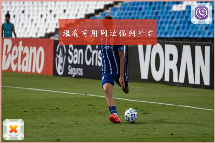谁有可用网址福利平台