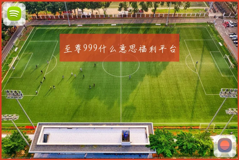 至尊999什么意思福利平台