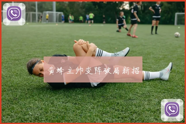 黄蜂主帅变阵破局新招
