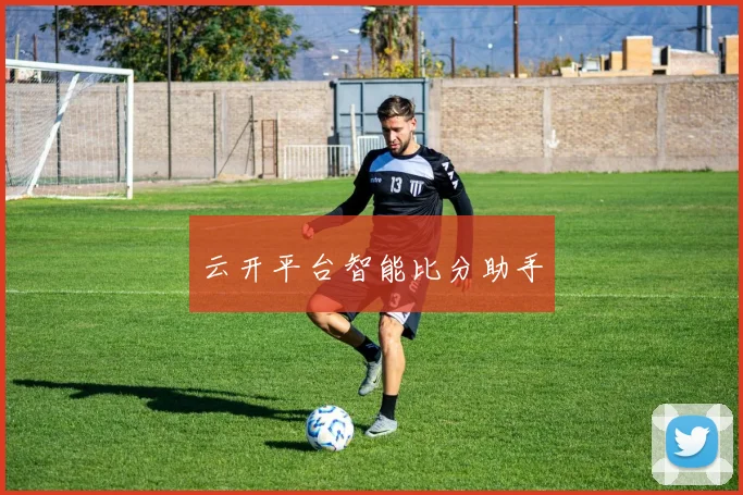 云开平台智能比分助手