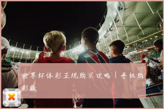 世界杯体彩正规购买攻略｜手机购彩版
