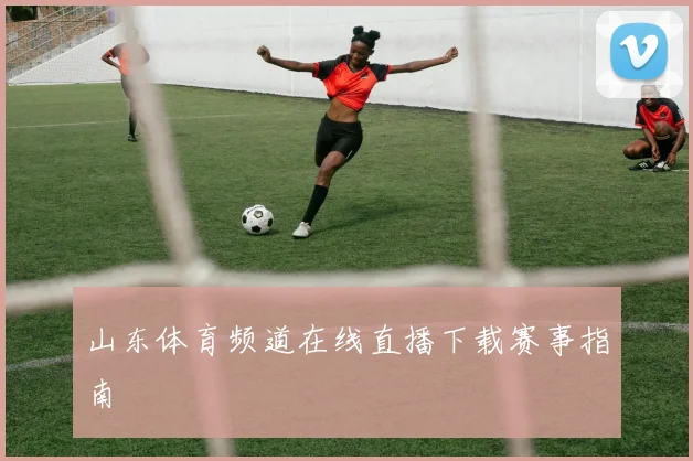 山东体育频道在线直播下载赛事指南