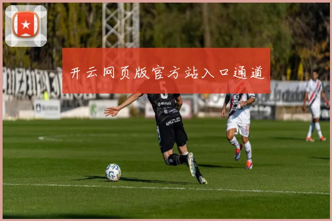 开云网页版官方站入口通道