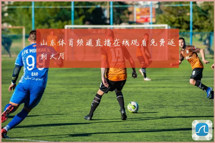 山东体育频道直播在线观看免费返利大厅