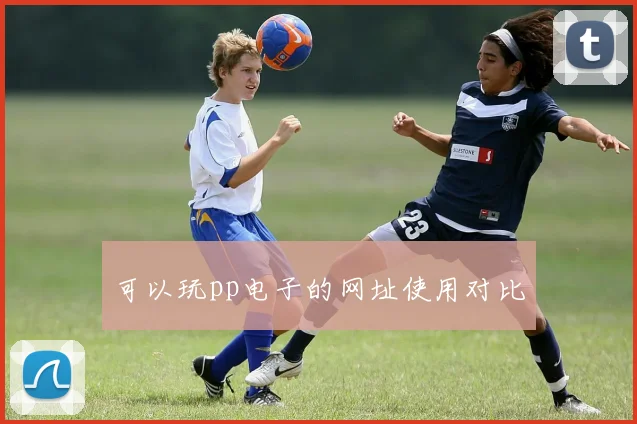 可以玩pp电子的网址使用对比