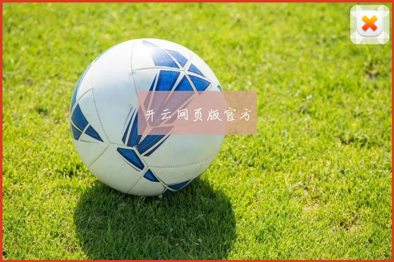 开云网页版官方