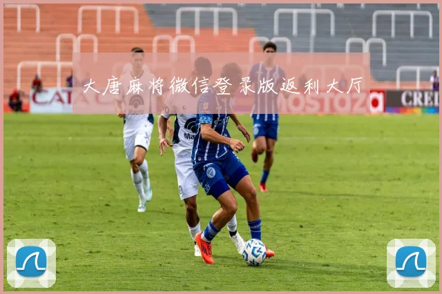 大唐麻将微信登录版返利大厅