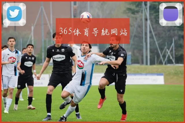 365体育导航网站