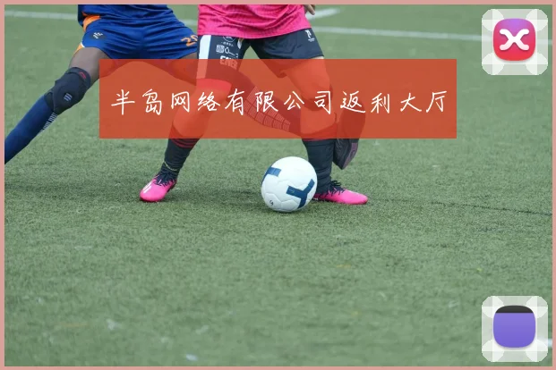 半岛网络有限公司返利大厅
