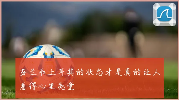 芬兰和土耳其的状态才是真的让人看得心里亮堂