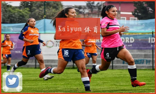 Kaiyun 体育