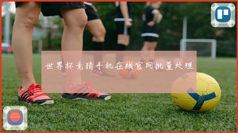 世界杯竞猜手机在线官网批量处理