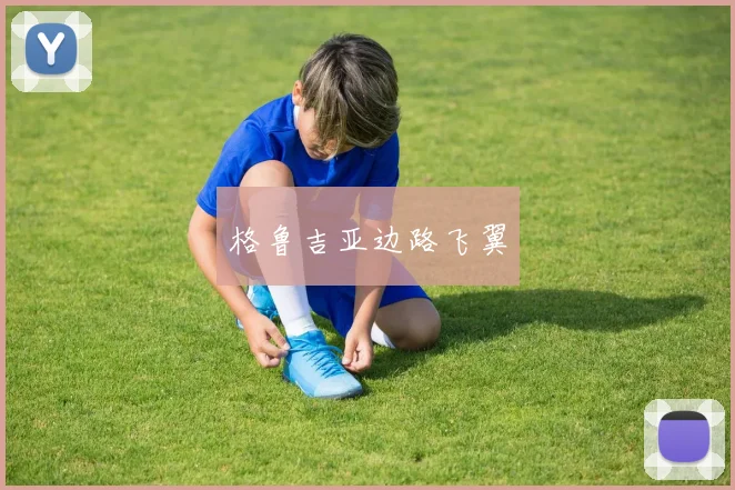 格鲁吉亚边路飞翼