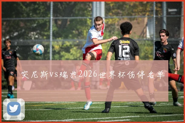突尼斯vs瑞典2026世界杯伤停名单