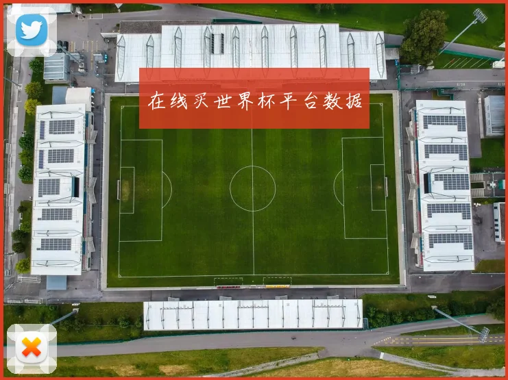 在线买世界杯平台数据
