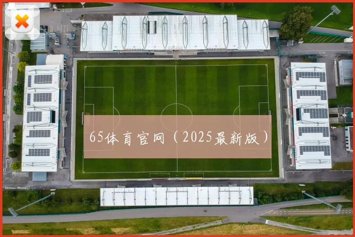 65体育官网(2025最新版)