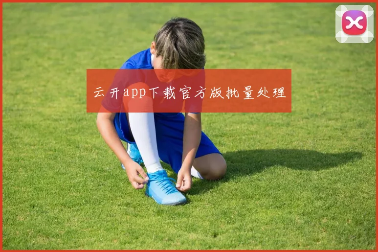云开app下载官方版批量处理