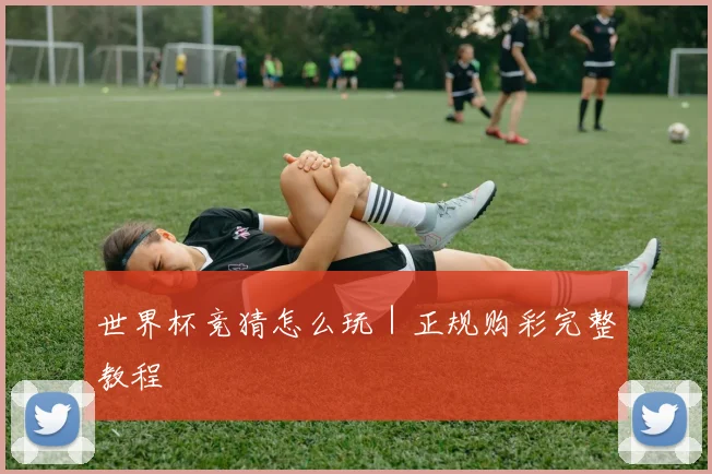 世界杯竞猜怎么玩｜正规购彩完整教程