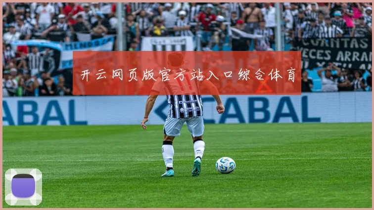 开云网页版官方站入口综合体育