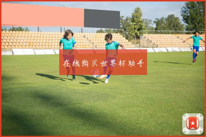 在线购买世界杯助手