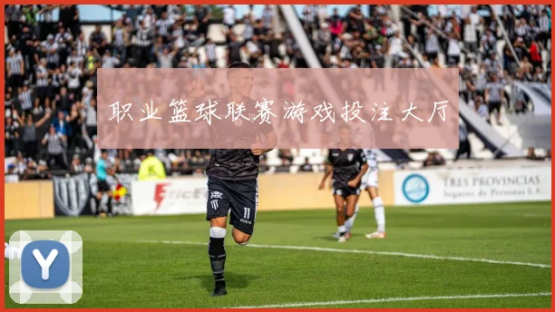 职业篮球联赛游戏投注大厅