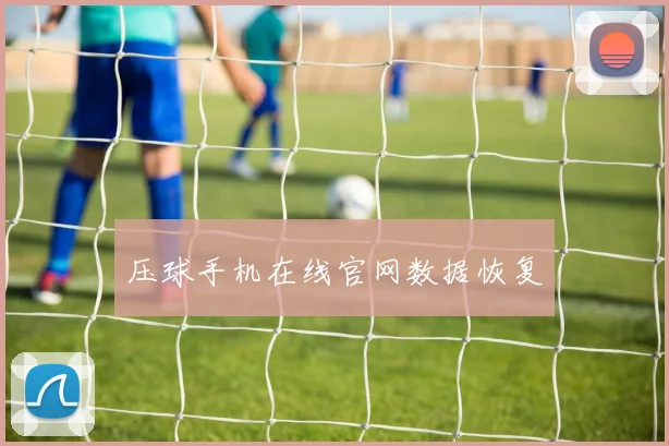 压球手机在线官网数据恢复