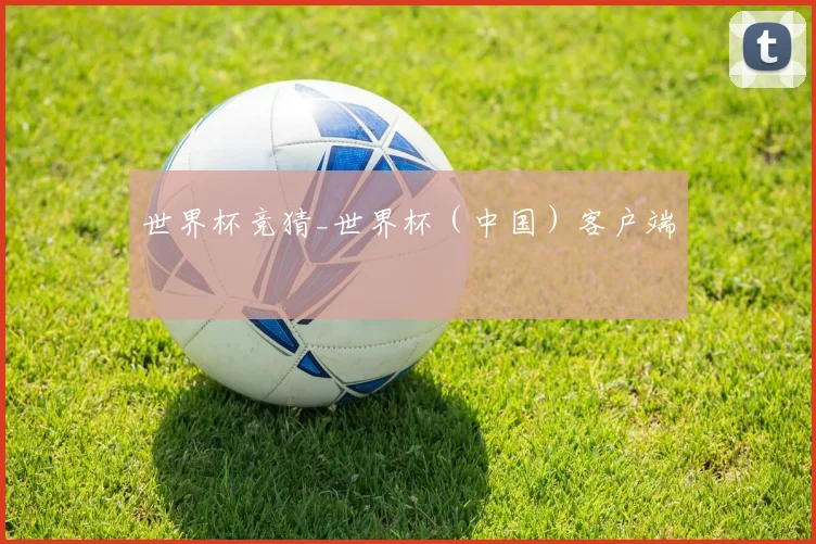 世界杯竞猜_世界杯（中国）客户端