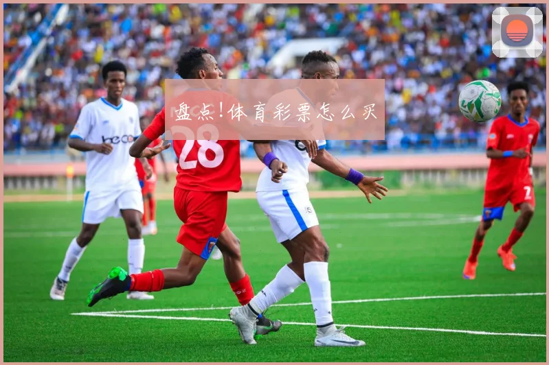 盘点!体育彩票怎么买