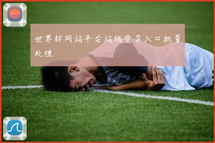世界杯网站平台站线登录入口批量处理