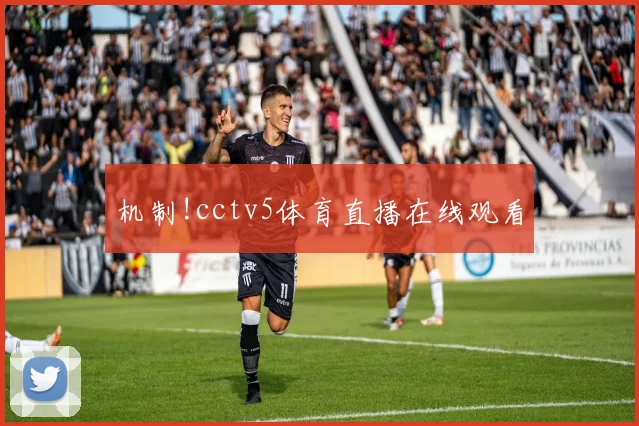 机制!cctv5体育直播在线观看