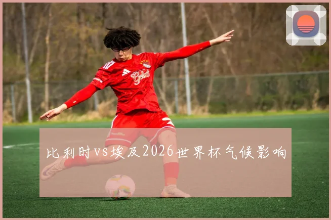 比利时vs埃及2026世界杯气候影响