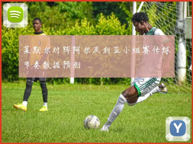 莱默尔对阵阿尔及利亚小组赛传球节奏数据预测